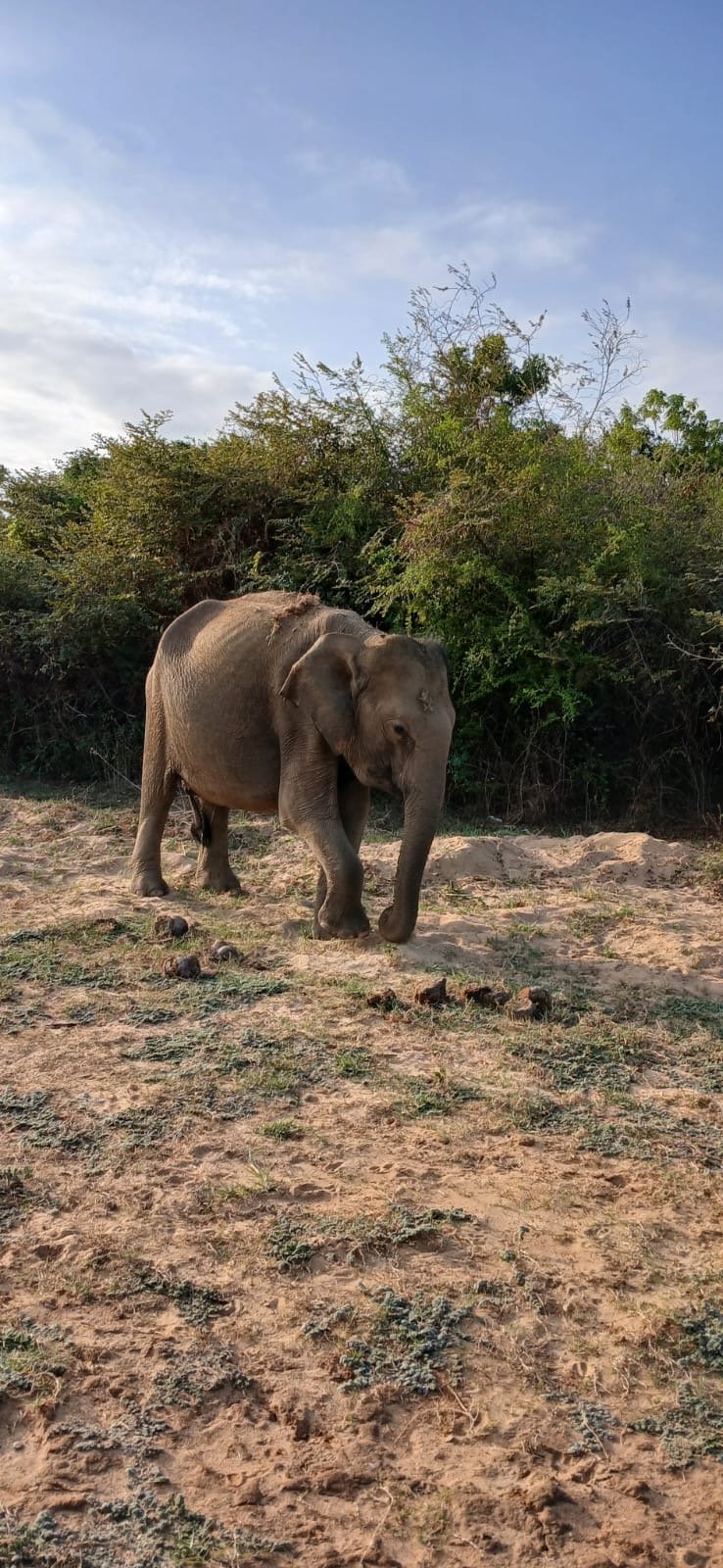 Best and amazing tour guide providers in Sri Lanka!