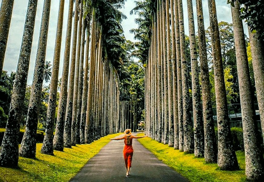 Best and amazing tour guide providers in Sri Lanka!