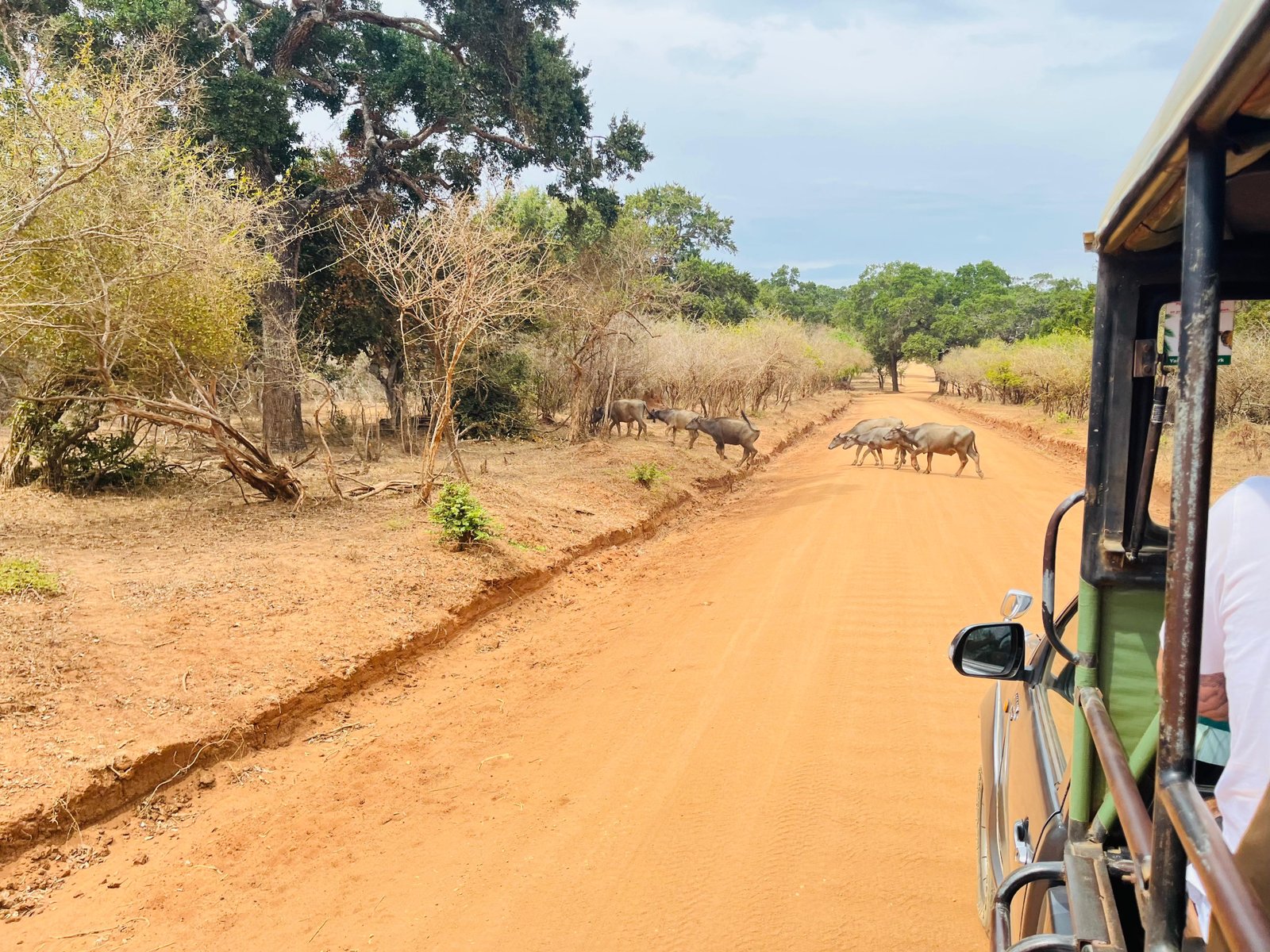 Best and amazing tour guide providers in Sri Lanka!