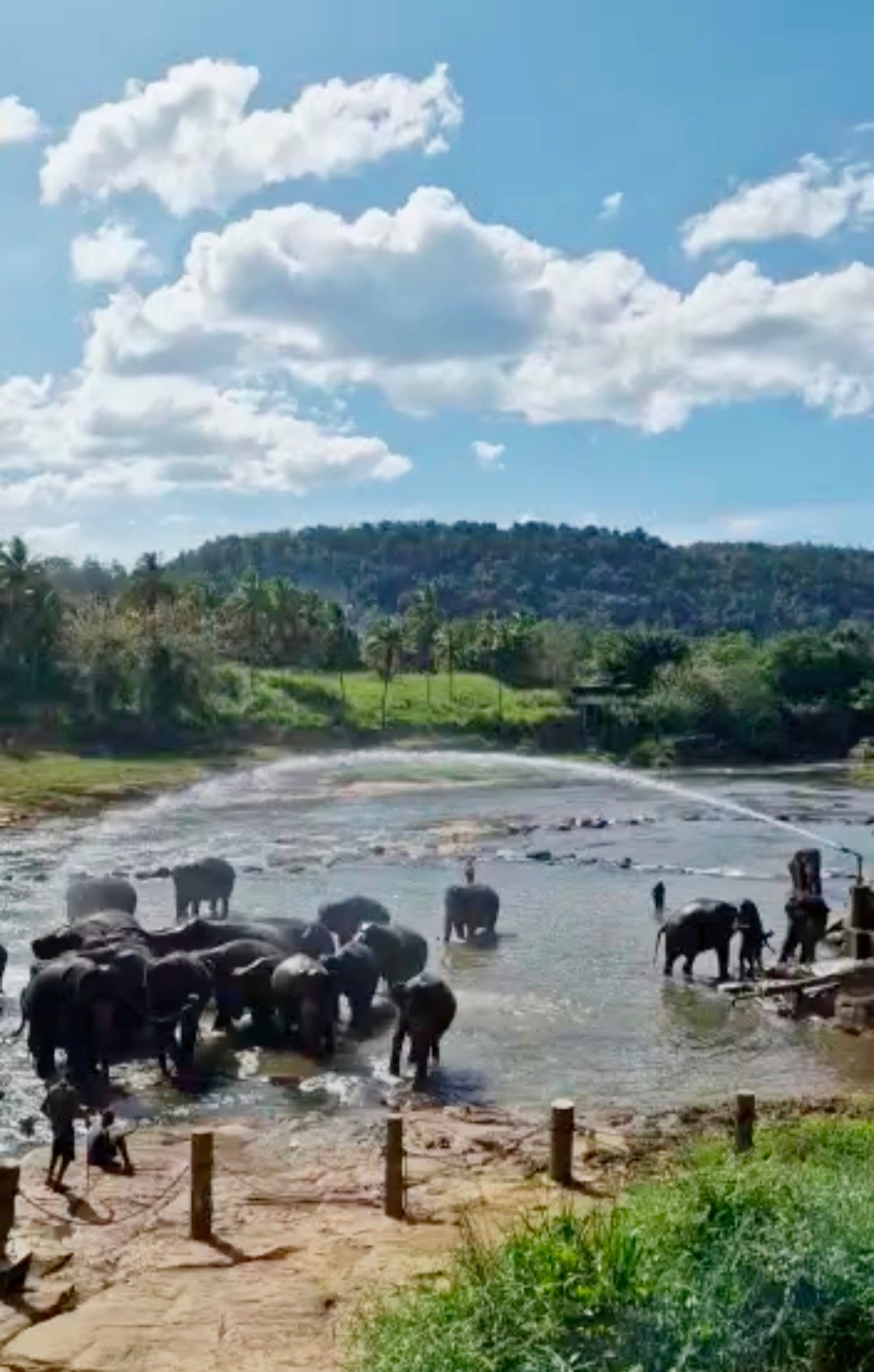 Best and amazing tour guide providers in Sri Lanka!