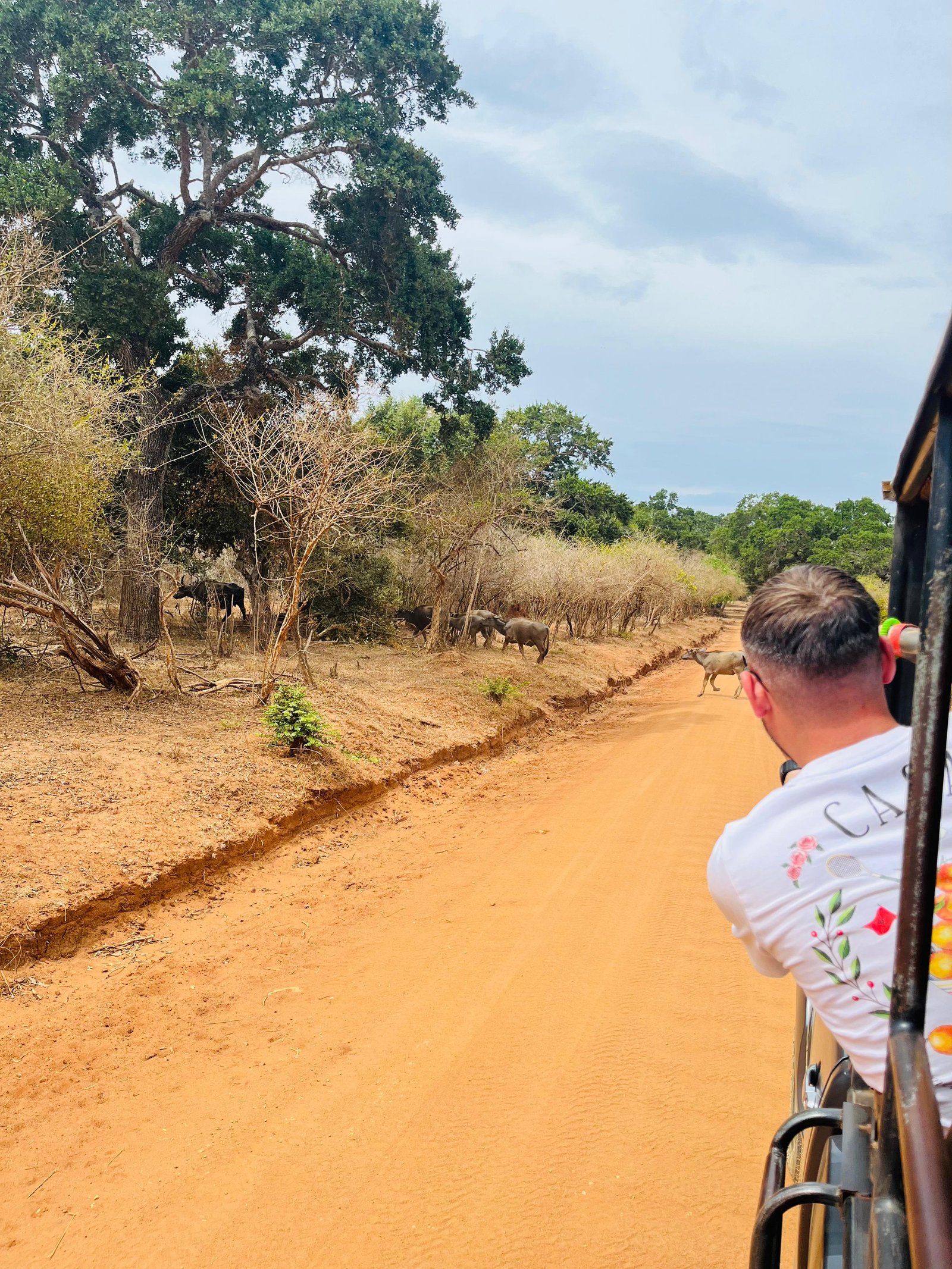 Best and amazing tour guide providers in Sri Lanka!