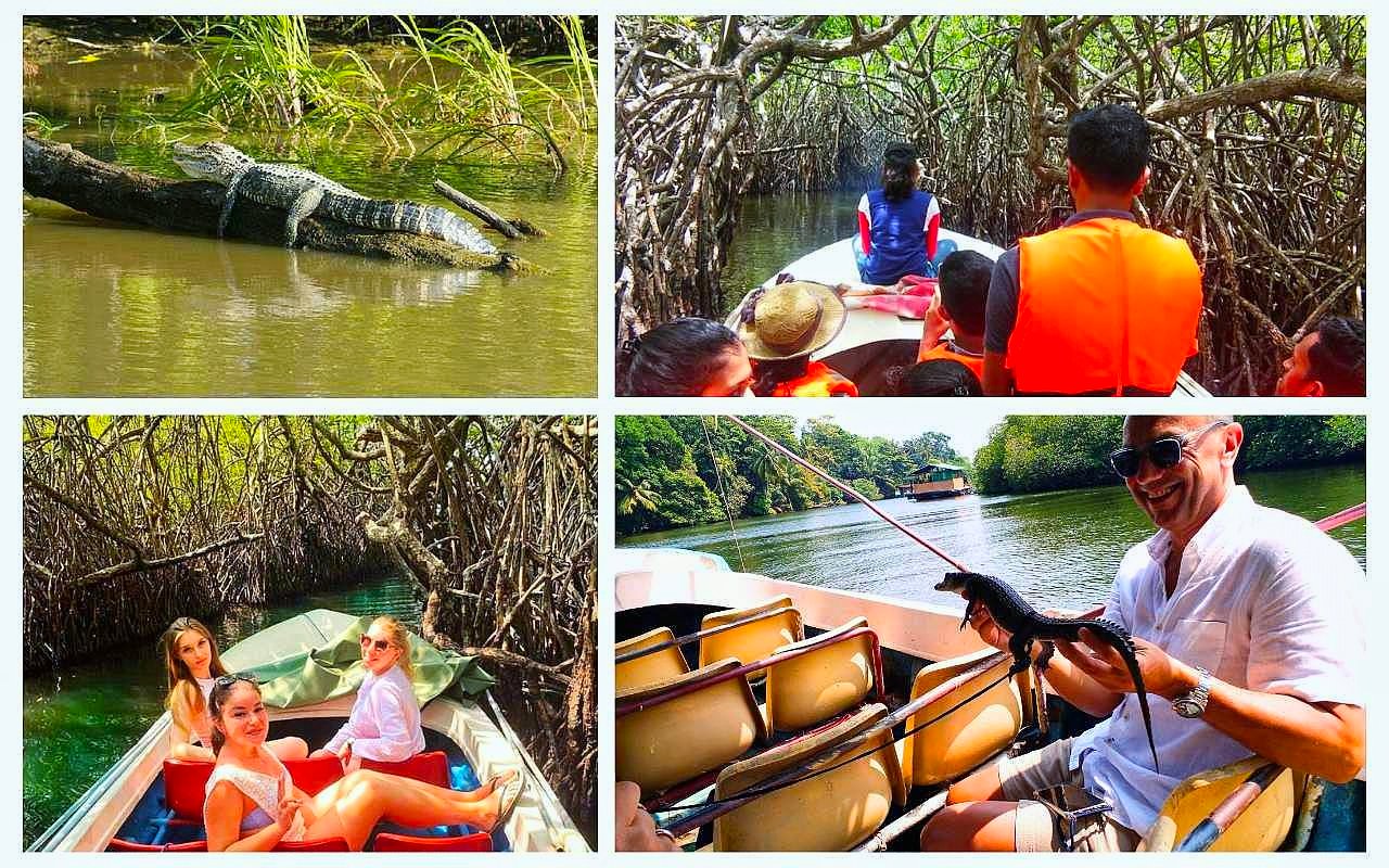 Best and amazing tour guide providers in Sri Lanka!