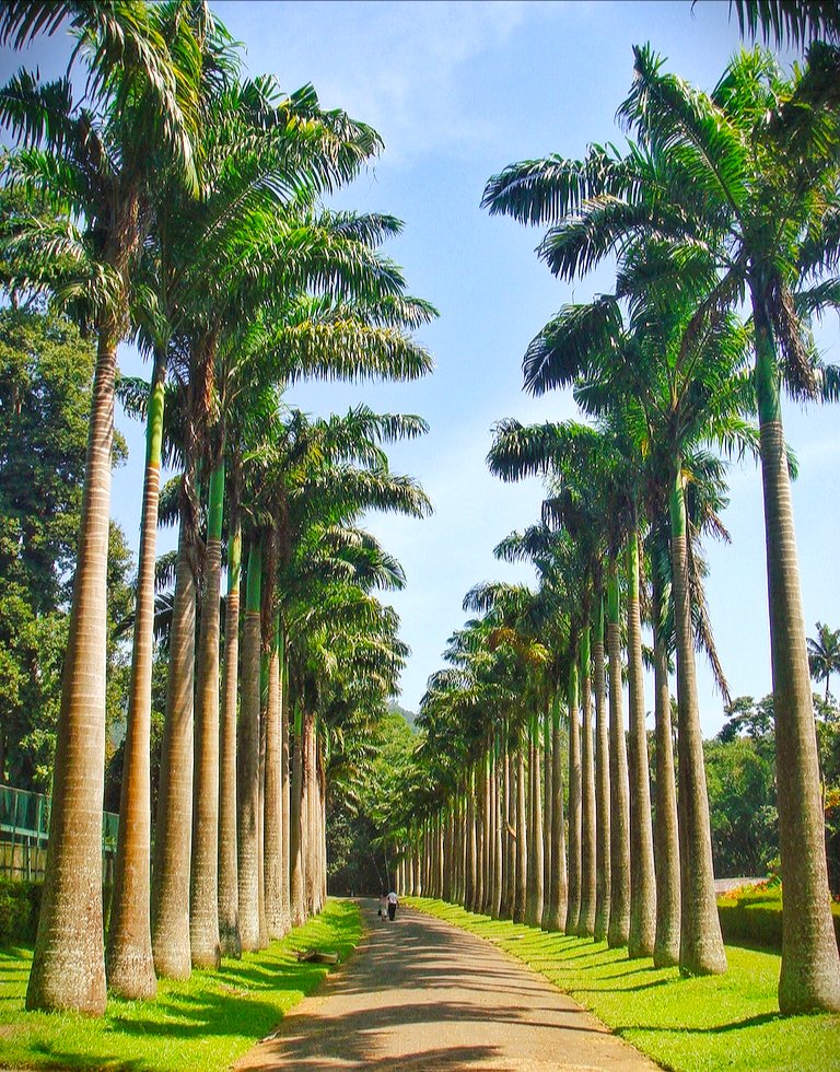 Best and amazing tour guide providers in Sri Lanka!