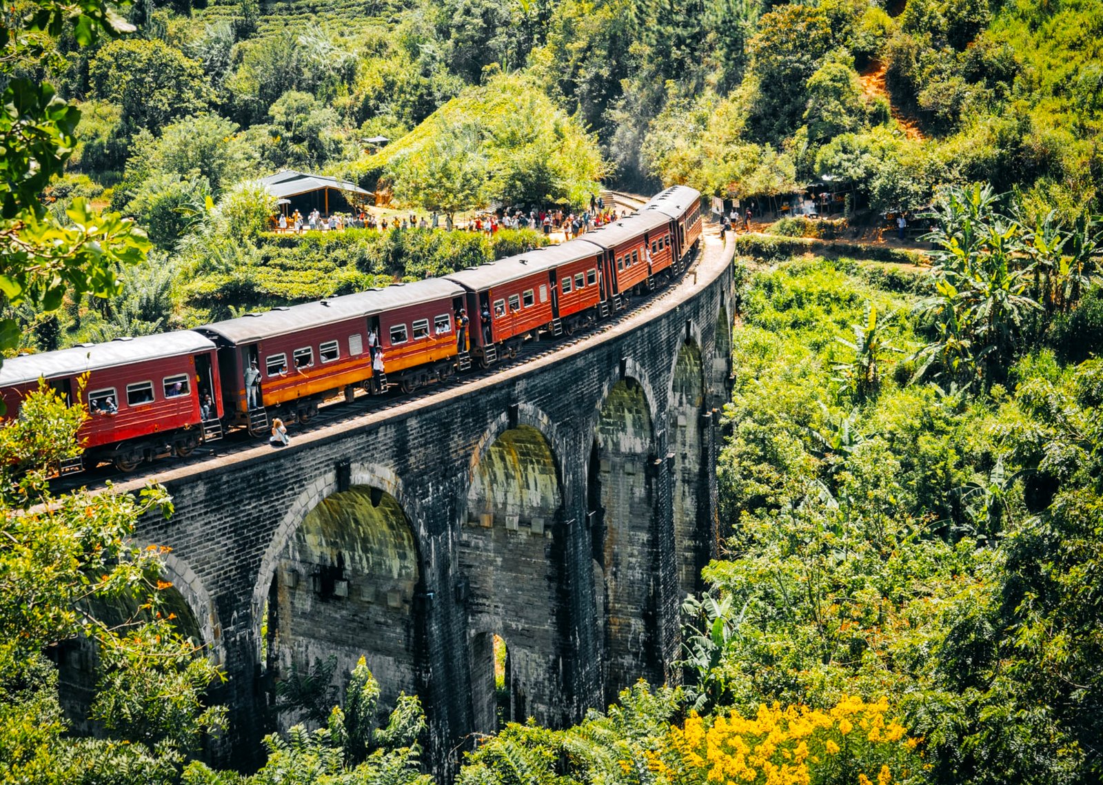 Best and amazing tour guide providers in Sri Lanka!